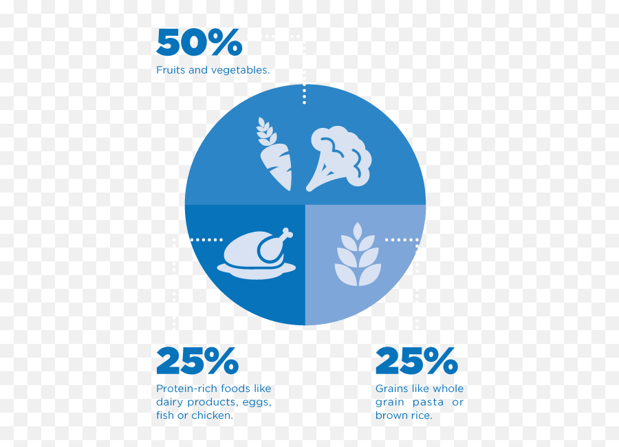 Benefits Of Active Living - Language Png,Nutrients Icon