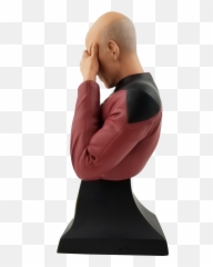 Star Trek The Next Generation Captain Picard Facepalm Bust - Mini png