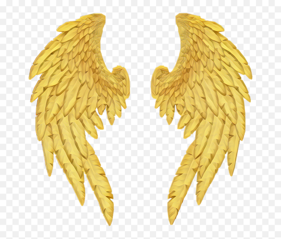 Gold - Angel Wings Gold Png,Gold Wings Png