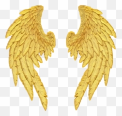 Free Transparent Gold Wings Png Images Page 1 Pngaaa Com - golden wings roblox