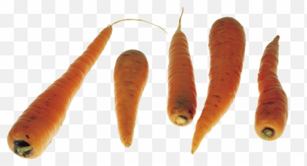 Carrots Png Image - Carrot,Carrot Transparent Background