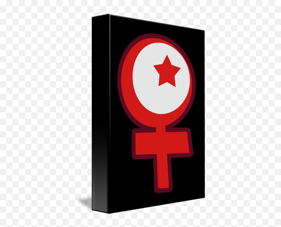 Islamic Feminism Gender Symbol By Janice M - Cross Png,Gender Icon