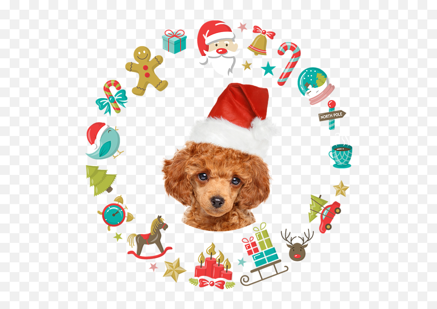 Toy Poodle Christmas Ornaments Cute Santa Hat Coffee Mug For Png Icon