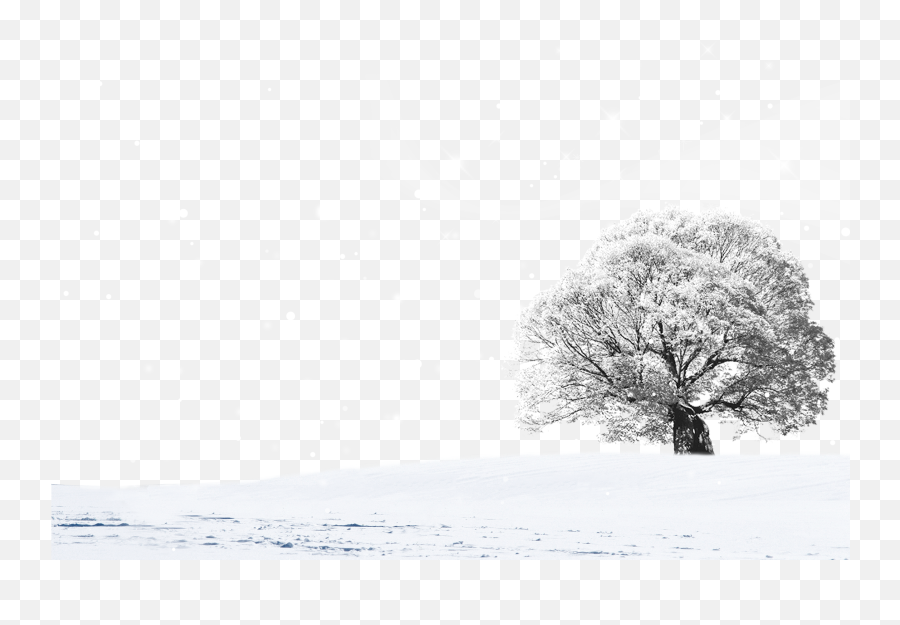 Snow Landscape Design Png Download - Snow,Transparent Snow Gif