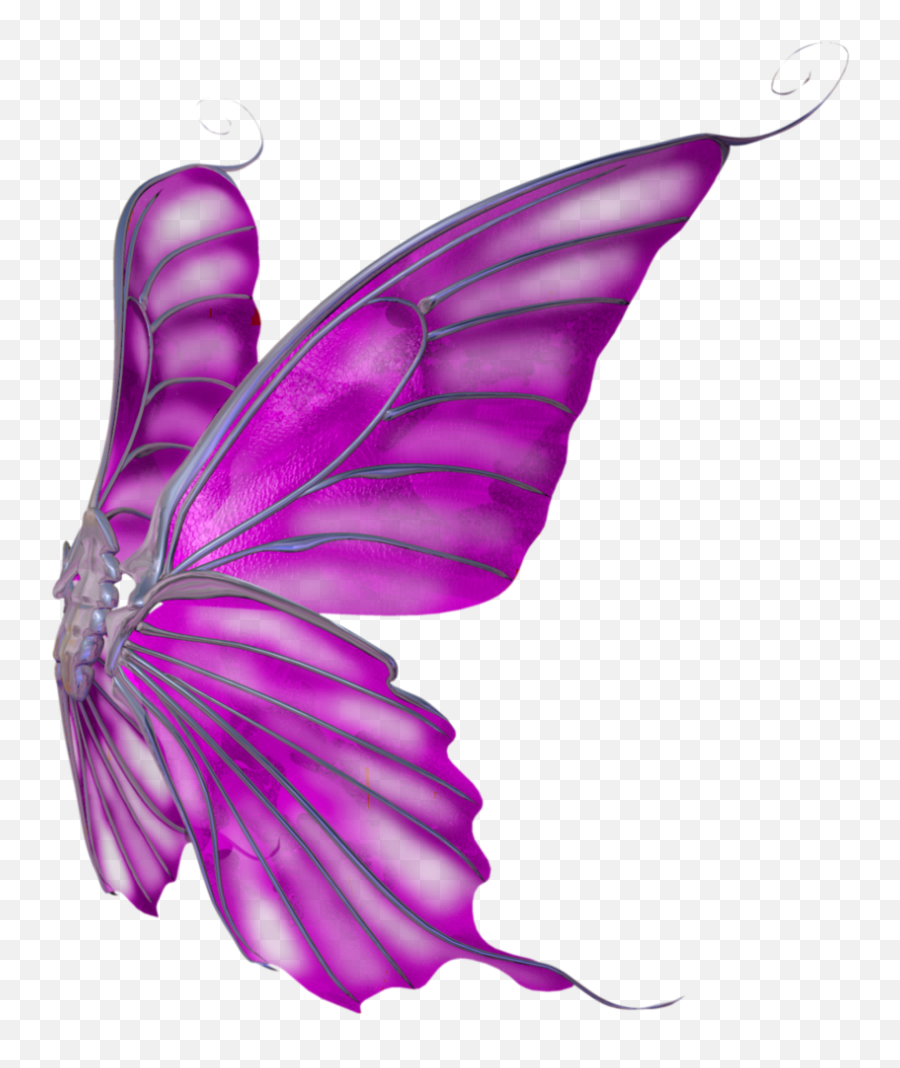Butterfly Wings Png Clipart - Pink Butterfly Wings Png,Butterfly Wings Png