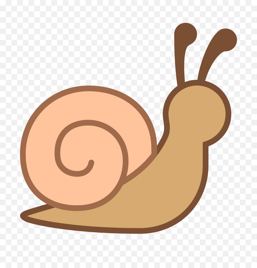 Download Hd Snail Png Free - Snail Clipart Png,Snail Png