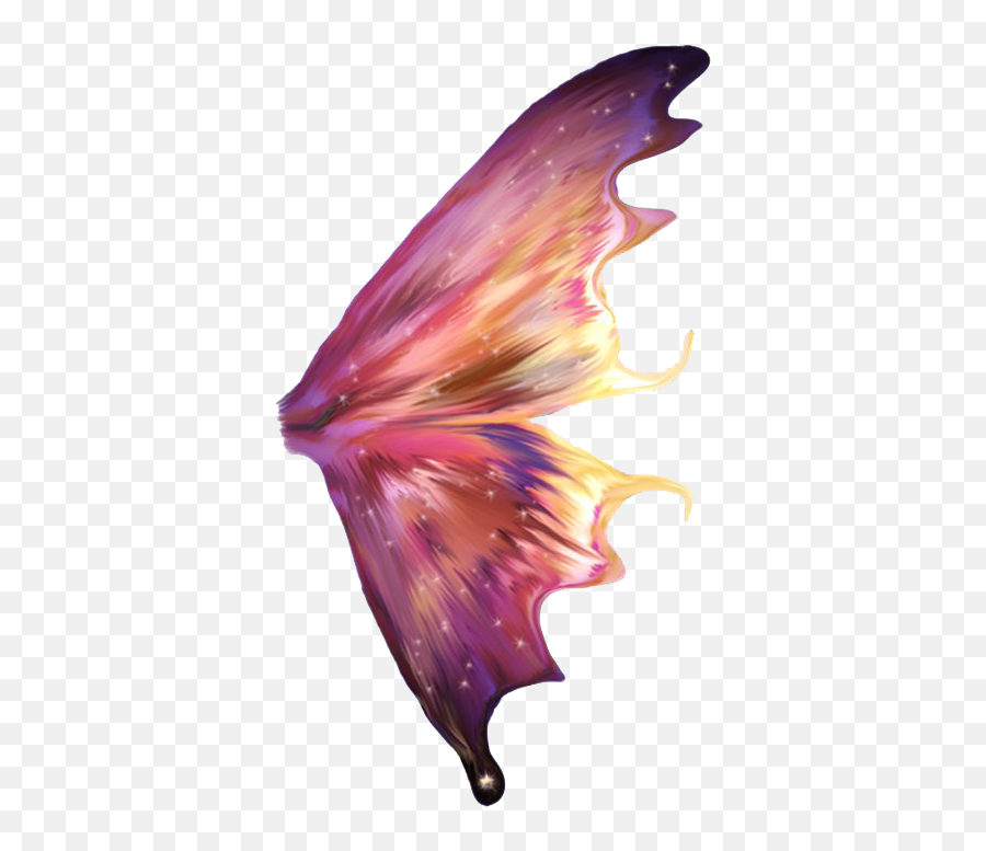 Fairy Wings Png Image Background - Side Butterfly Wings Png,Fairy Wings Png