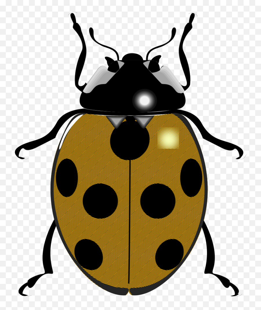 Fileladybugsvg - Wikimedia Commons Black And White Ladybird Png,Lady Bug Png