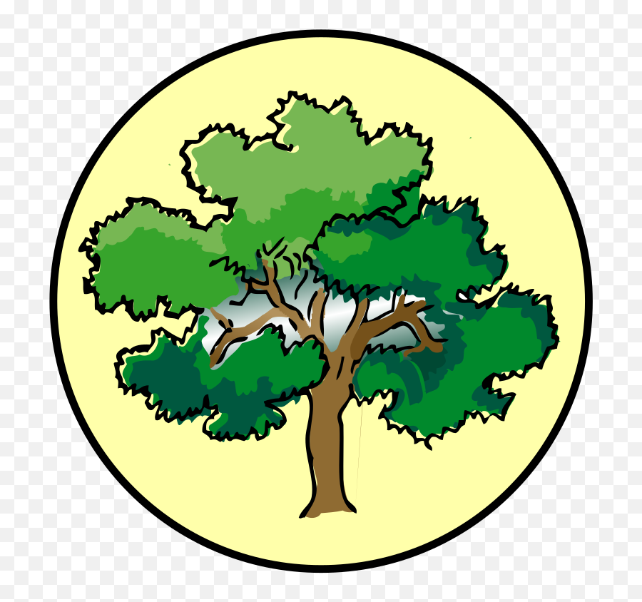 Brown Tree Branch Svg Clip Arts Download - Download Clip Art Clip Art Forest School Png,Tree Limb Png