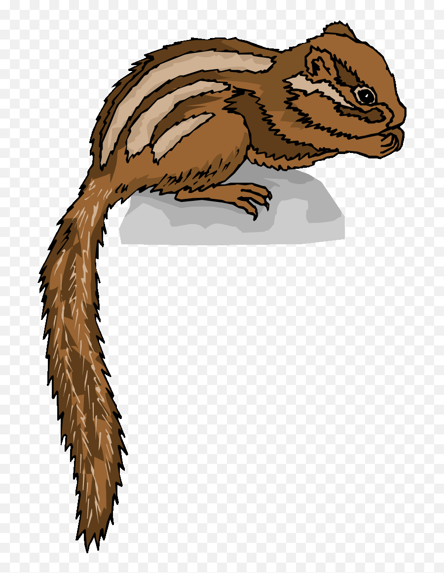 Transparent Background Chipmunk Clipart - Life Cycle Of A Raccoon Png,Chipmunk Png