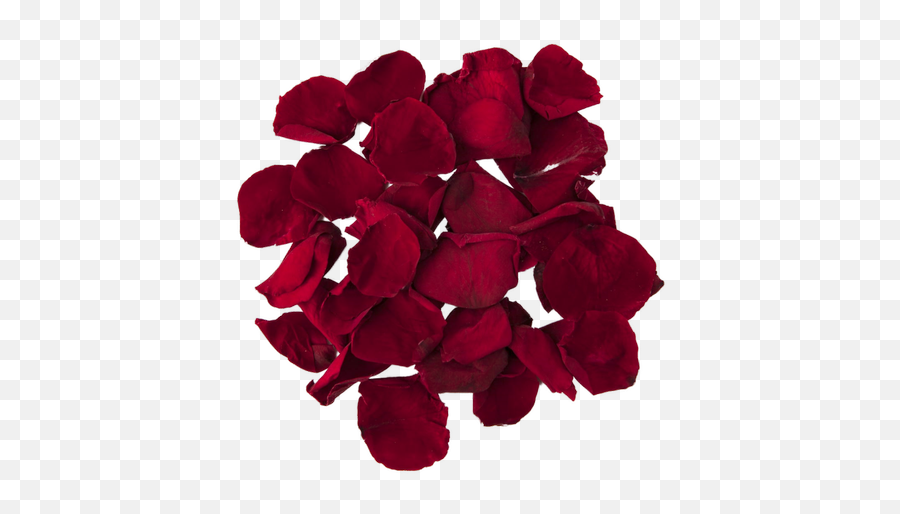 Rose Petal Powder - Lovely Png,Rose Petal Png