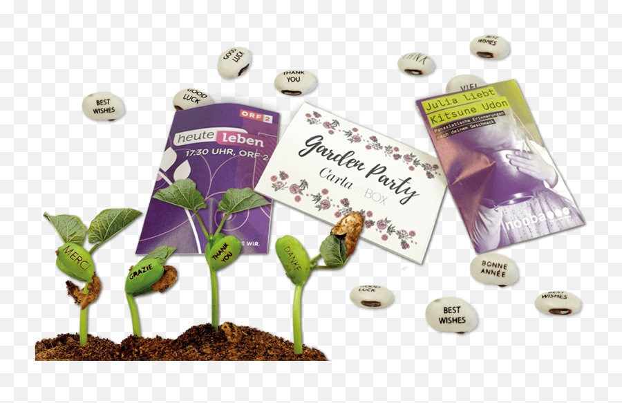 Customized Wonder Bean - Feel Green We Create Nature Soil Png,Bean Transparent