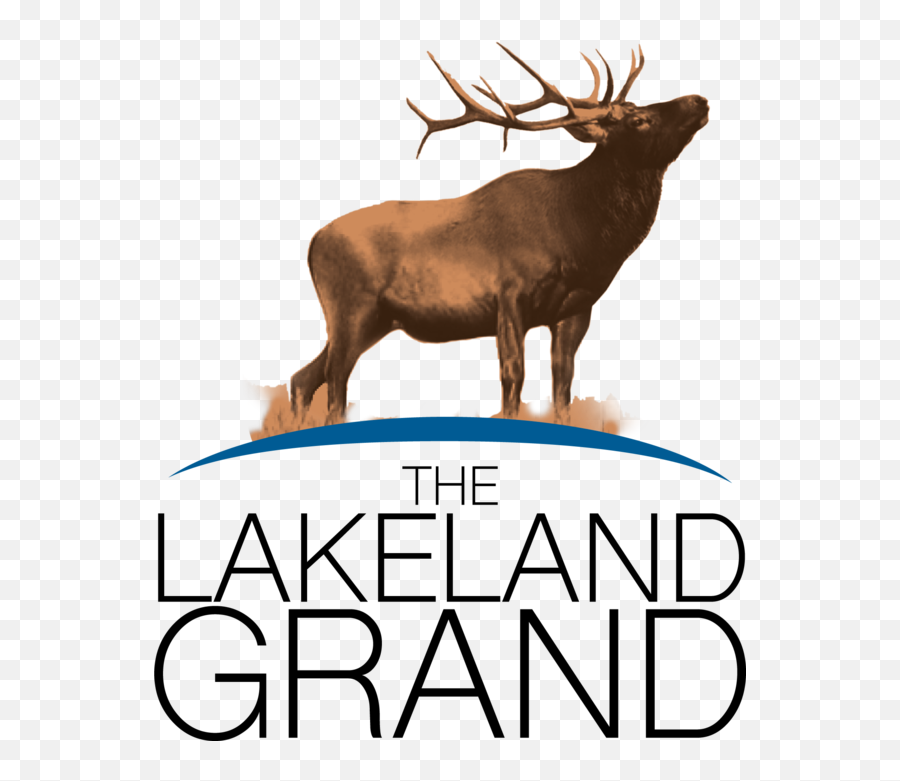 Luxury Lakeland Apartments Live - Australian Financial Awards Png,Reindeer Antlers Transparent Background