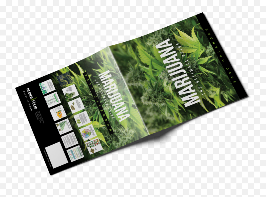 2020 Marijuana Calendar Blunt Clip Png Weed