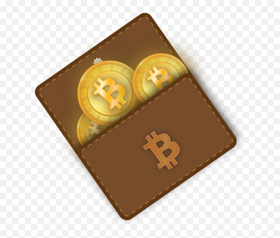 Lose Your Bitcoin Wallet - Crypto Wallets Png,Wallet Png