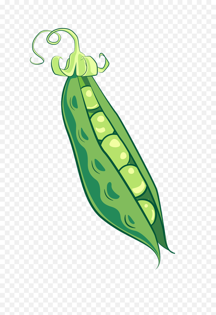 Peas Pea Pod Food - Guess The Fruit Name Png,Peas Png
