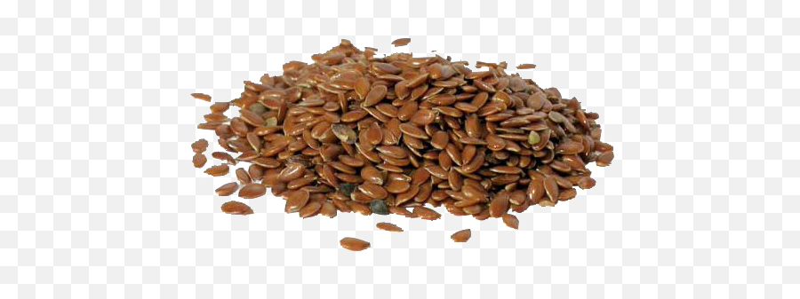 Flax Seeds Free Png Image - Alsi Png,Seed Png