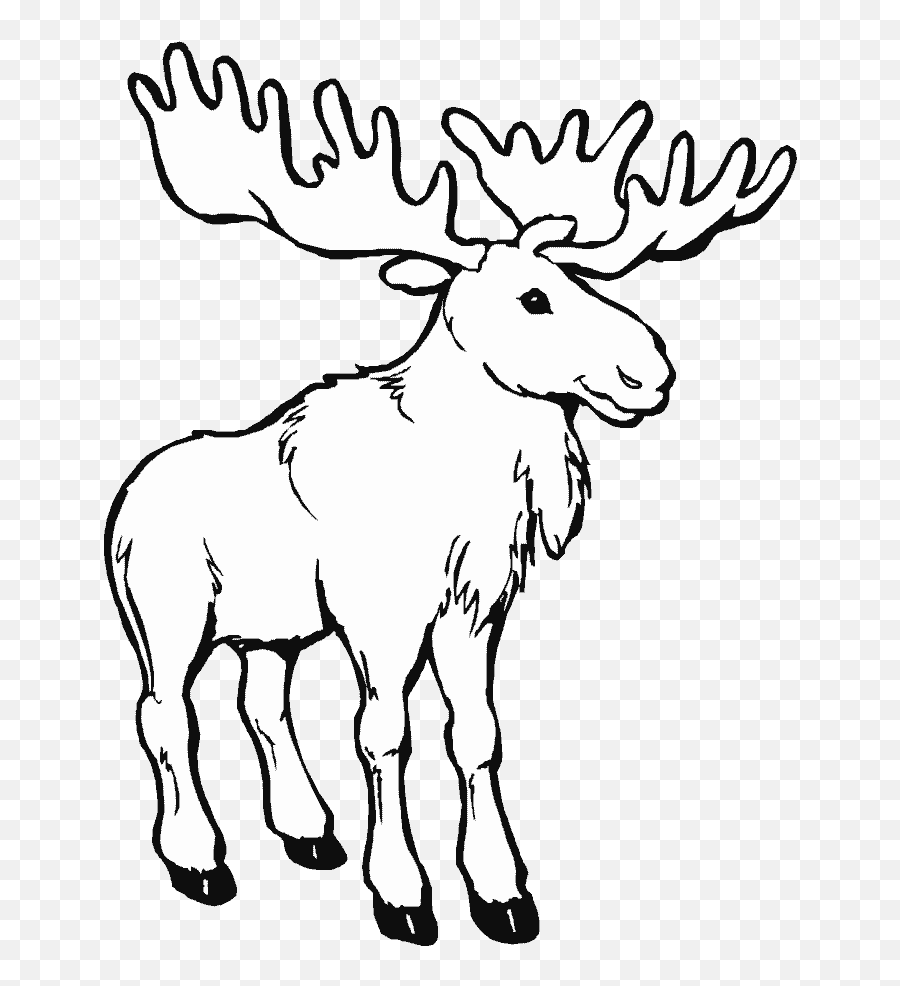 Printable Coloring Pages - Moose Coloring Page Png,Caribou Png
