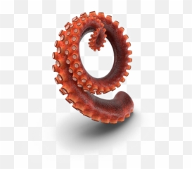 Octopus Tentacles Png Hd