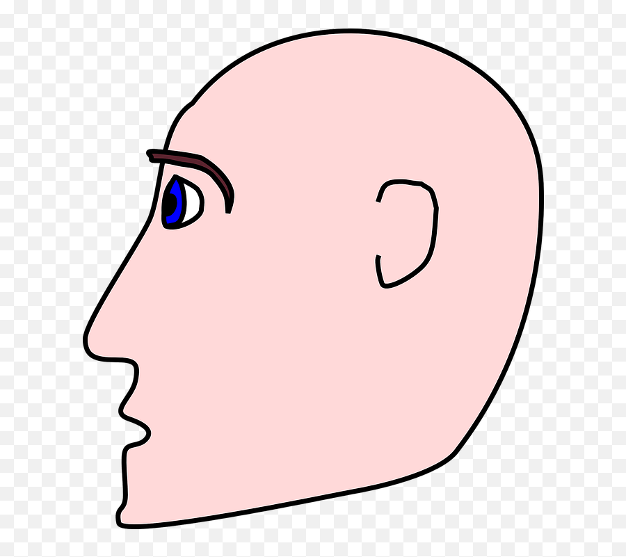 Man Bald Head - Hair Loss Png,Bald Head Png