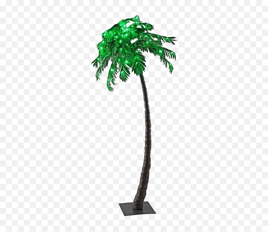 Palm Tree Transparent Background Png - Borassus Flabellifer,Tree With Transparent Background