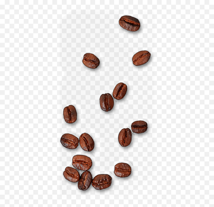Single Coffee Bean Png 4 Image - Coffee Bean Png,Bean Png
