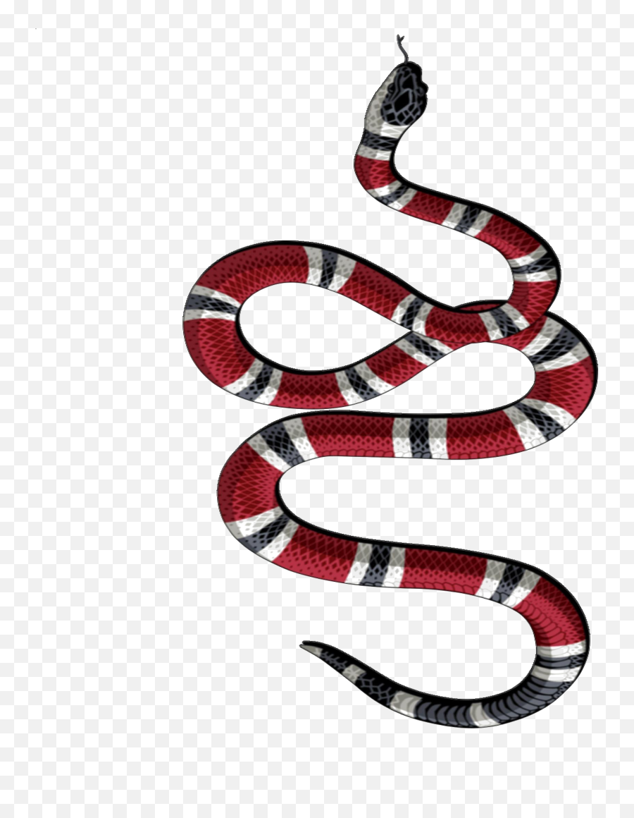 Snake Tattoo Transparent Background Png - Gucci Snake Logo Png,Snake Transparent Background
