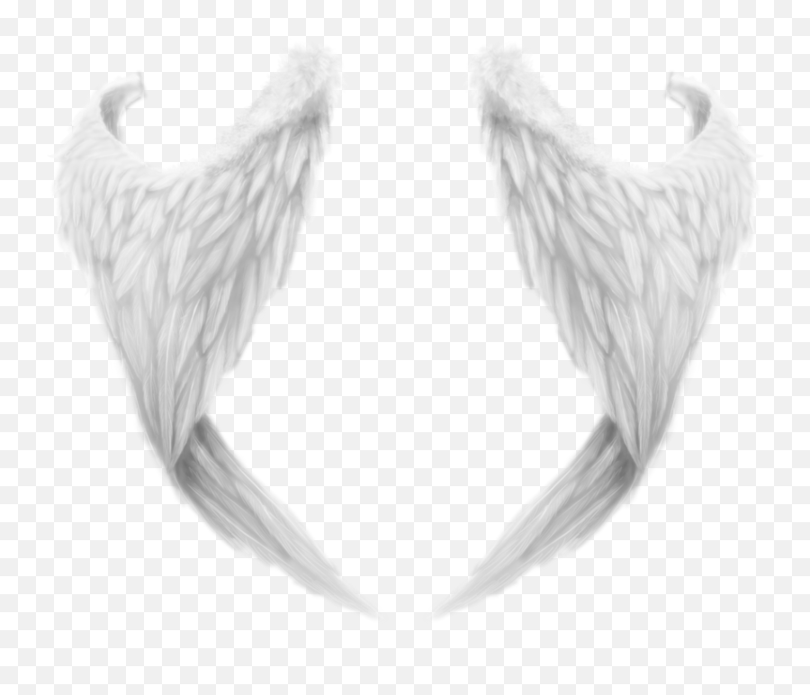 White Wings Png - Angel Wings From Behind,Wing Png