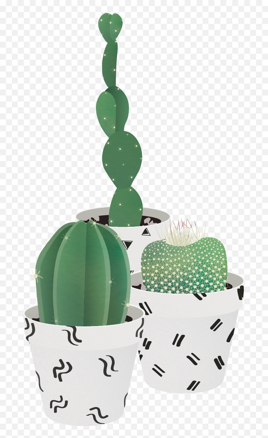 Vector Cactus Succulent - Hedgehog Cactus Png,Succulents Png