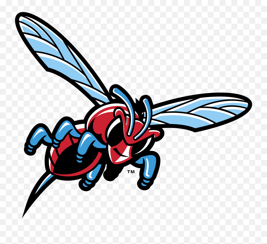 Delaware State Hornets Logo Png - Delaware State University Hornets Logo,Hornets Logo Png