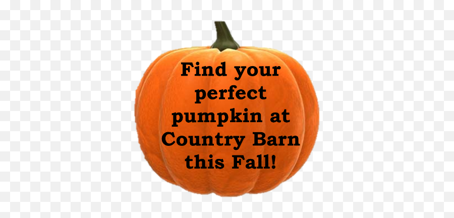Pick Your Own Pumpkin U2014 Country Barn Png Pumpkins