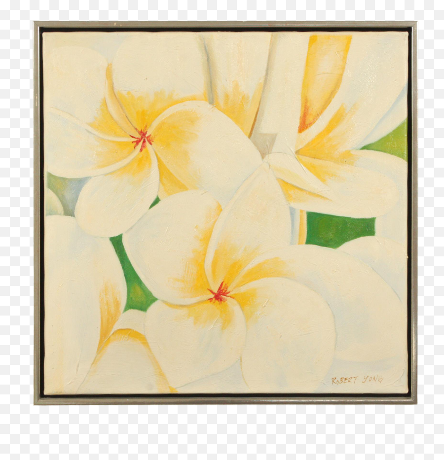 Late 20th - C Acrylic Painting Of A Bouquet Of Plumeria Flowers By Robert Yong Frangipani Png,Plumeria Flower Png