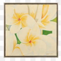 Late 20th - C Acrylic Painting Of A Bouquet Of Plumeria Flowers By Robert Yong Frangipani Png,Plumeria Flower Png