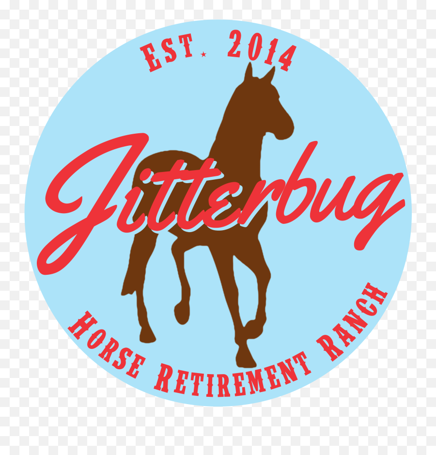 Home - Jitterbug Horse Retirement Ranch Mare Png,Horse Transparent