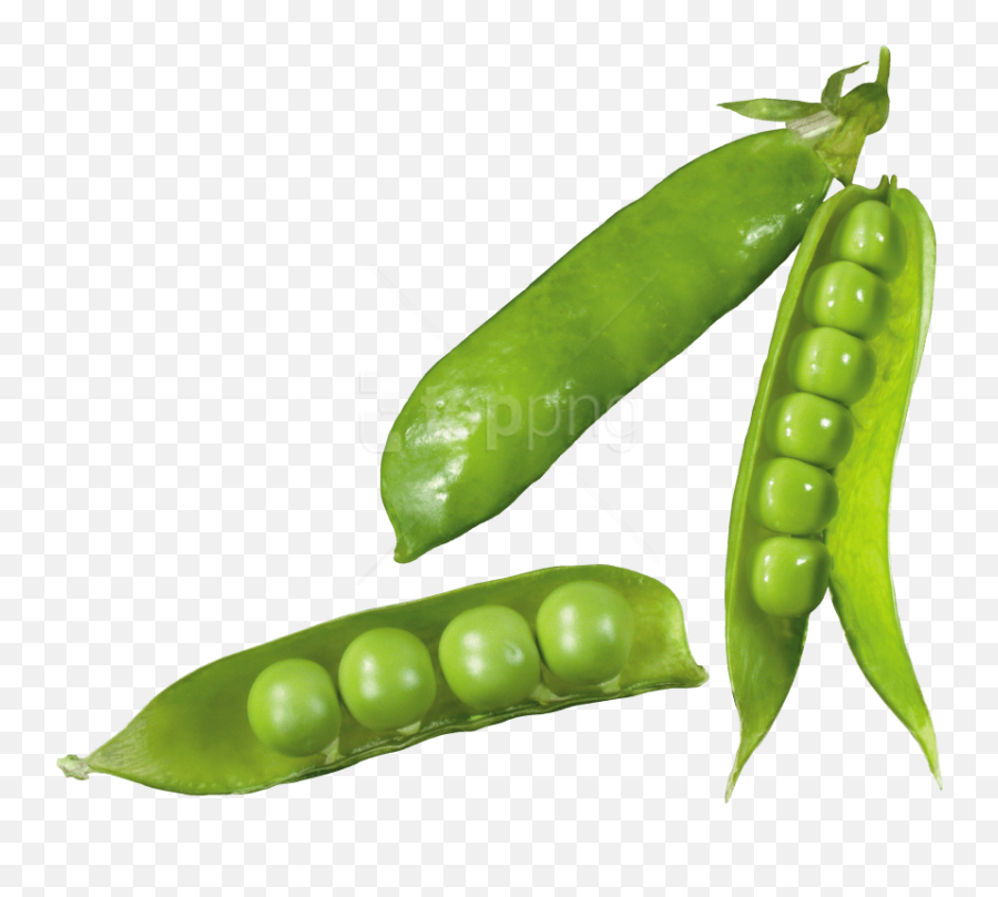 Free Png Pea Images Transparent - Transparent Background Peas In A Pod Png, Pea Png - free transparent png images 