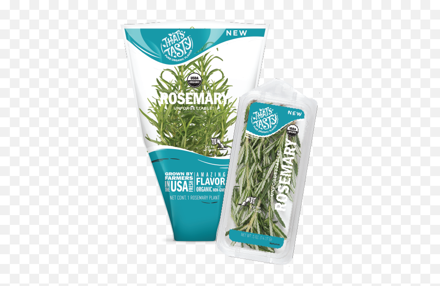 Rosemary - Fines Herbes Png,Rosemary Png