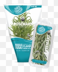 Rosemary - Fines Herbes Png,Rosemary Png