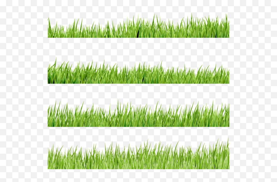 Green Grass - Download Free Render Grassland Png,Green Grass Png