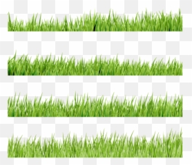 Green Grass - Download Free Render Grassland Png,Green Grass Png