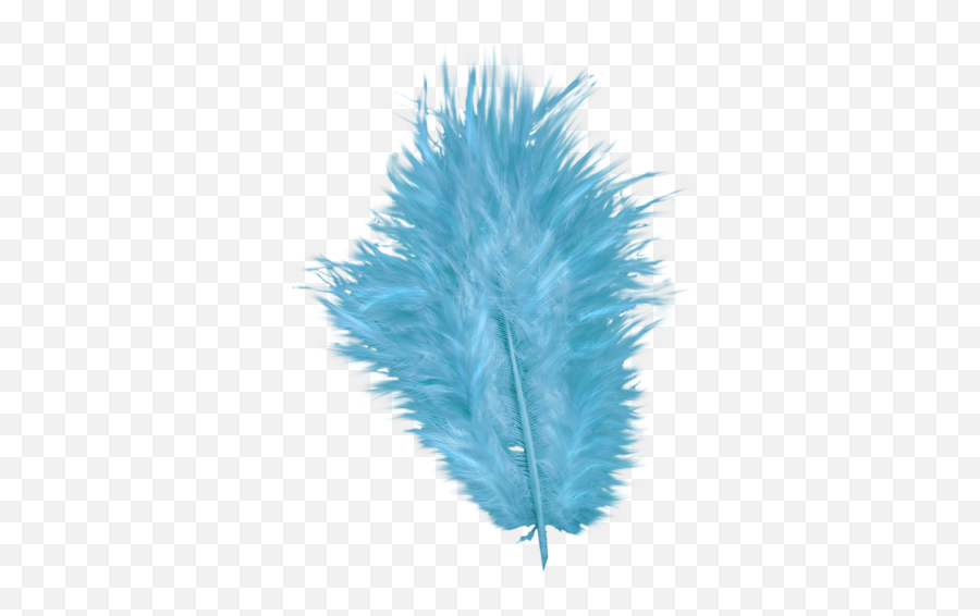 Download Purple Peacock Feather Clip Art Png - Blue Feather Transparent Background,Feather Drawing Png