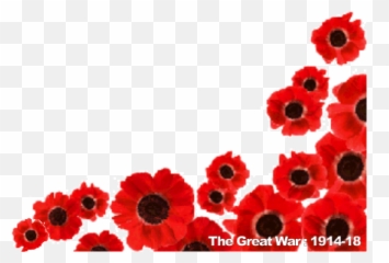 Hampsthwaite Village Buildings And Their Histories - Remembrance Day Png,Poppies Png