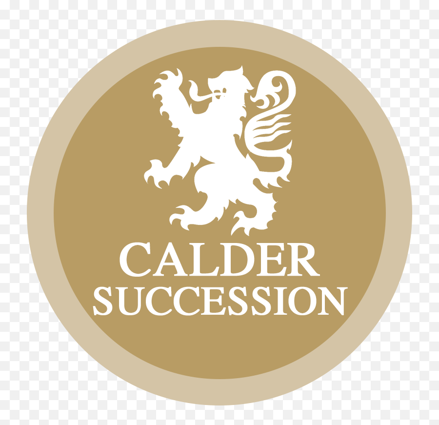 Calder Succession - Infinity Bjj Sandgate Logo Png,Succession Planning Icon