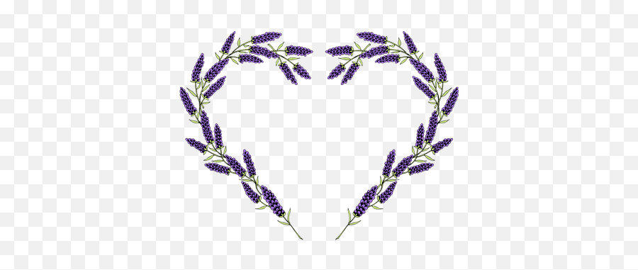 Free Fragrance Perfume Illustrations - Lavender Heart Png,Lavendar Bush Icon