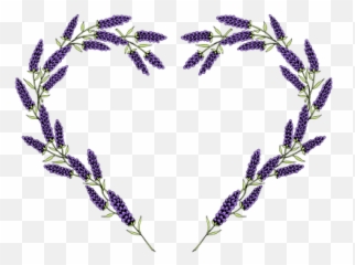 Free Fragrance Perfume Illustrations - Lavender Heart png