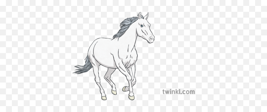 White Horse Illustration - Twinkl Stallion Png,White Horse Png