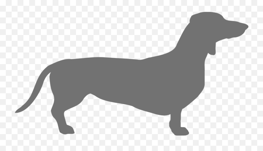 Butternut Box Dog Food - Dachshund Clipart Png,Dachshund Icon