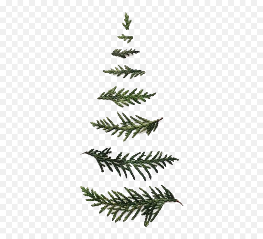 Minimalist Christmas Tree - Minimalist Christmas Tree Png,Christmas Tree Vector Png