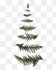 Minimalist Christmas Tree - Png
