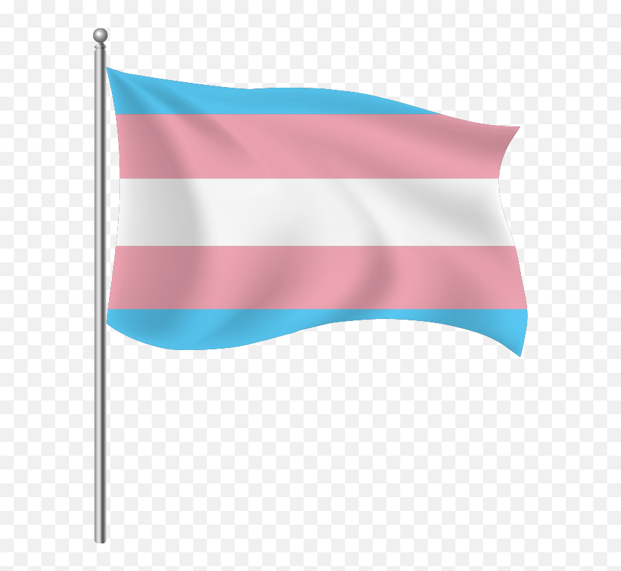 Download The Flag Of Transgender 40 Shapes Seek - Flagpole Png,Trans Flag Icon