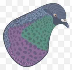 Paloma Domestika - Pigeons And Doves Png,Paloma Png